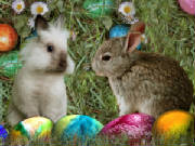 bunny_talk_eggs.jpg
