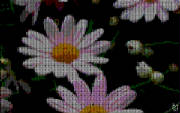 cross_stitched_daisies.jpg