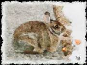 snow_bunny.jpg