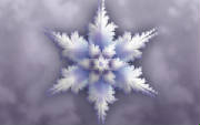 snowflake_silhouette_2.jpg